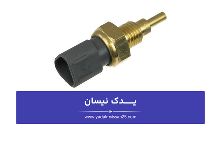 اختلال در استارت زدن